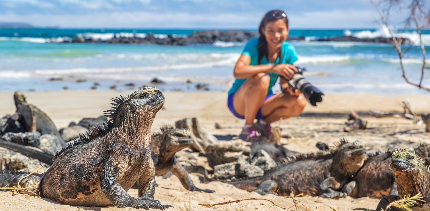 Galapagos Kreuzfahrt Fotografin mit Iguanas