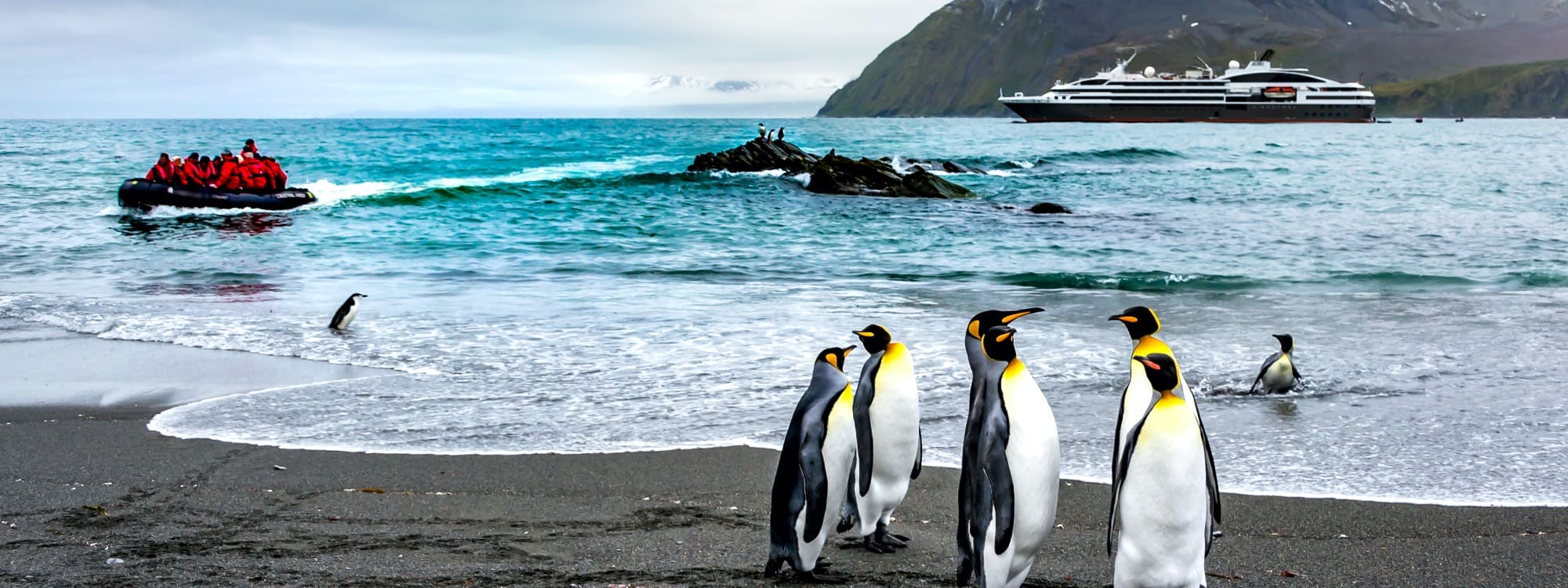 Pinguine bestaunen Ponant-Passagiere im Zodiac